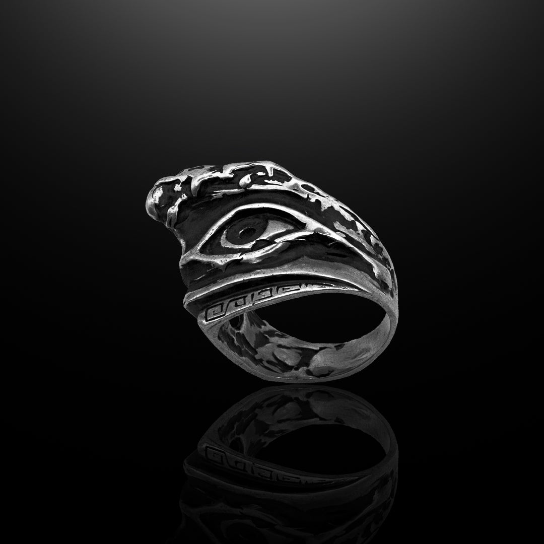 Silver Ring - David's Vision