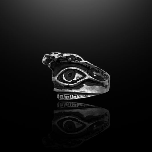Silver Ring - David's Vision